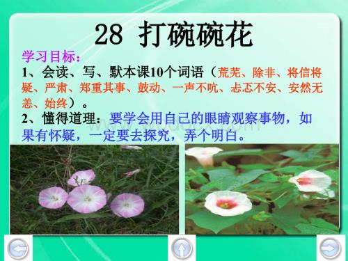 浙江版三年级下册 《打碗碗花》PPT课件4.ppt