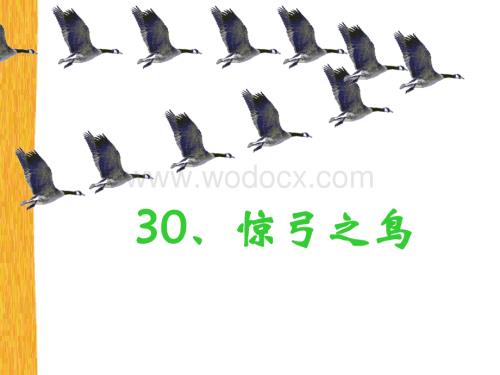 小学三年级语文惊弓之鸟.ppt