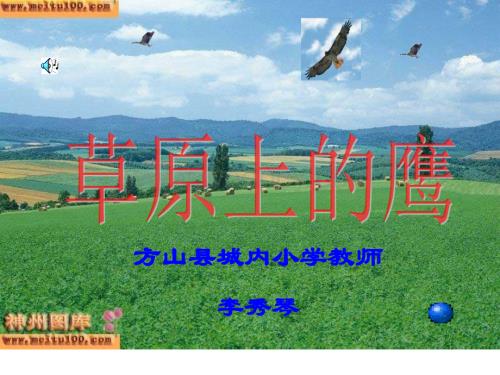 浙江版三年级下册 《草原上的鹰》PPT课件2.ppt