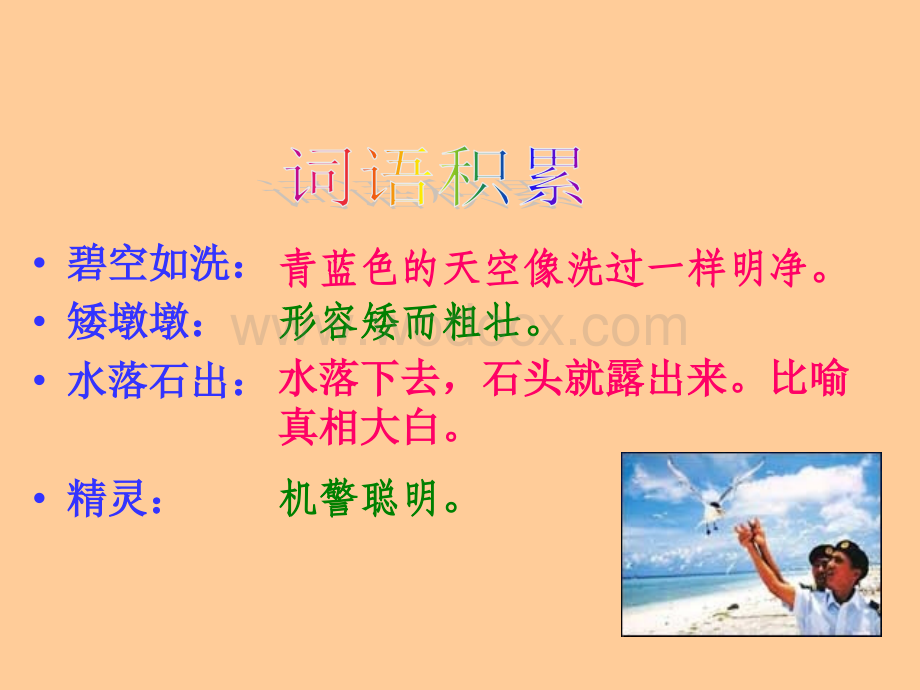 （鲁教版）五年级语文上册课件 彩色的翅膀1.ppt_第2页