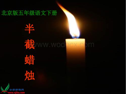 北京版五年级下册《半截蜡烛》PPT课件.ppt