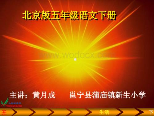 北京版五年级下册《鲸》PPT课件.ppt