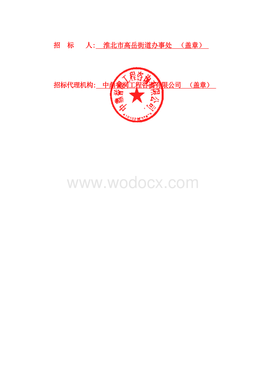 李洼高岳村庄排水工程招标文件.docx_第2页