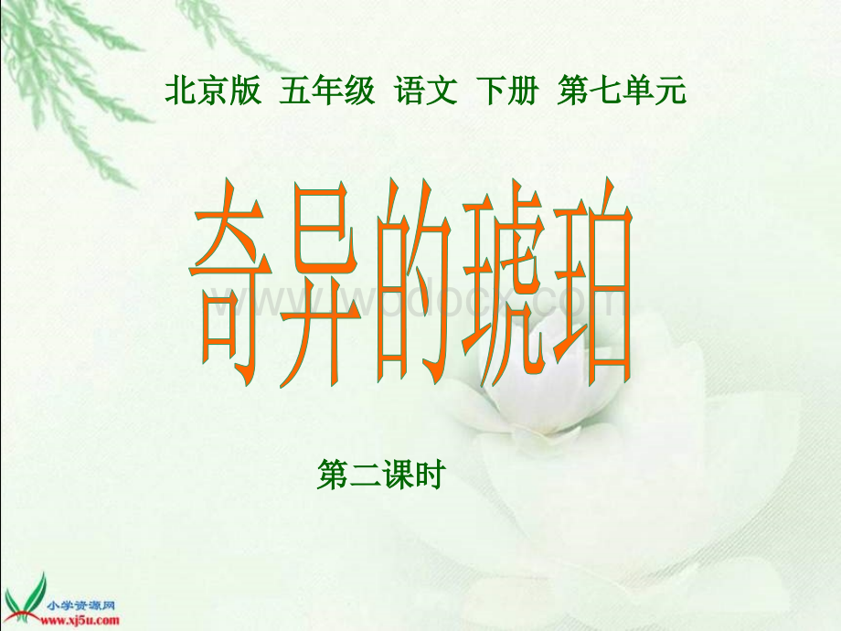 北京版五年级下册《奇异的琥珀》（第一课时）PPT课件.ppt_第1页