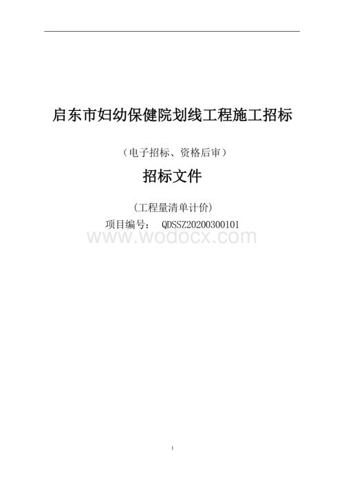 启东市妇幼保健院划线工程资格后审招标文件.docx