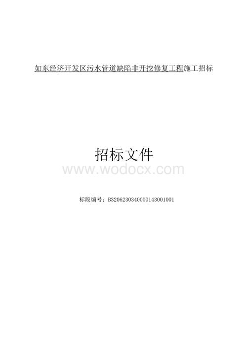 经济开发区污水管道缺陷非开挖修复工程招标文件.docx