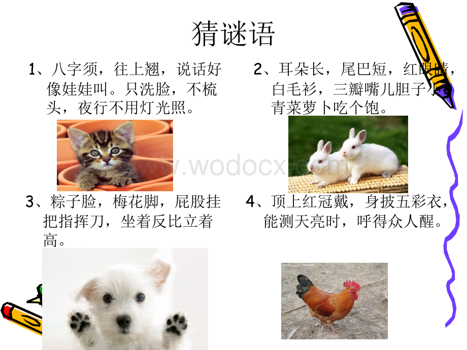 我喜欢的小动物作文教案.ppt_第1页