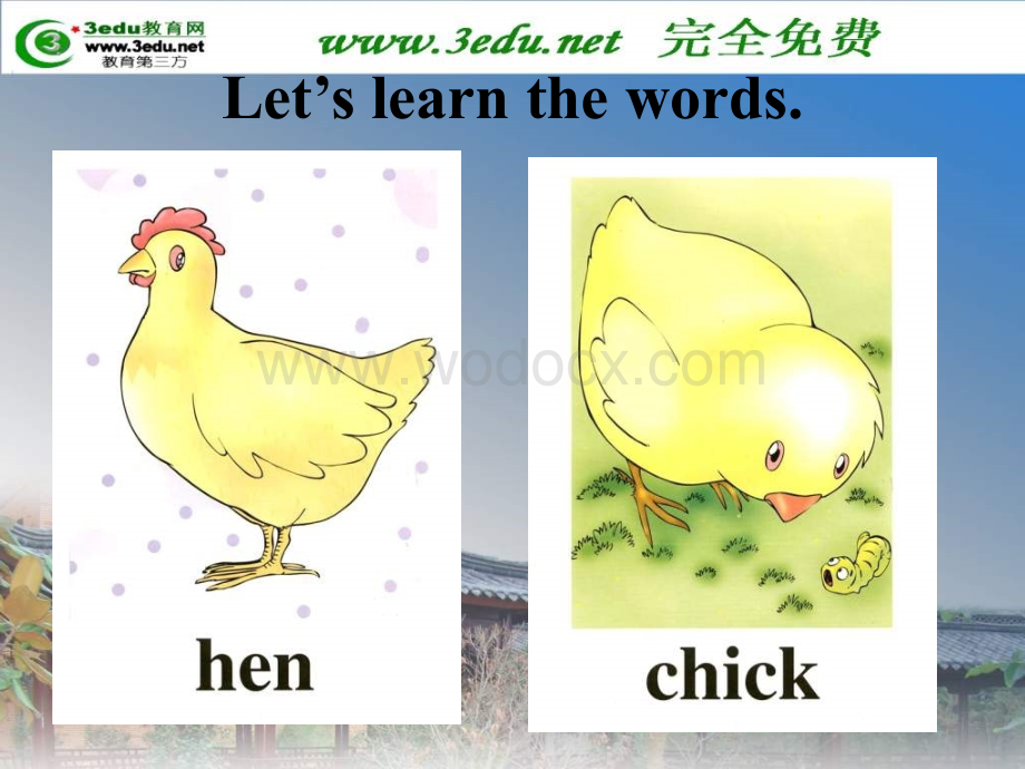 五年级英语They are hens and chicks课件1.ppt_第3页