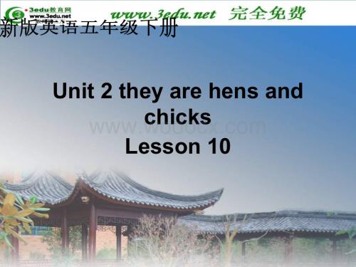 五年级英语They are hens and chicks课件1.ppt