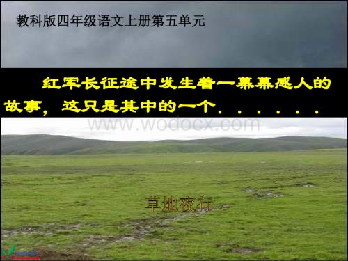 教科版四年级上册《草地夜行》PPT课件2.ppt