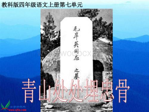 教科版四年级上册《青山处处埋忠骨》PPT课件1.ppt