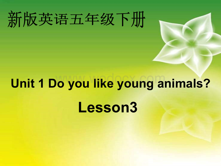 五年级英语Do you like young animals课件4.ppt_第1页