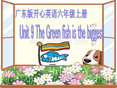 开心学英语六年级上册《Unit 9 The Green fish is the biggest》ppt课件之一.ppt