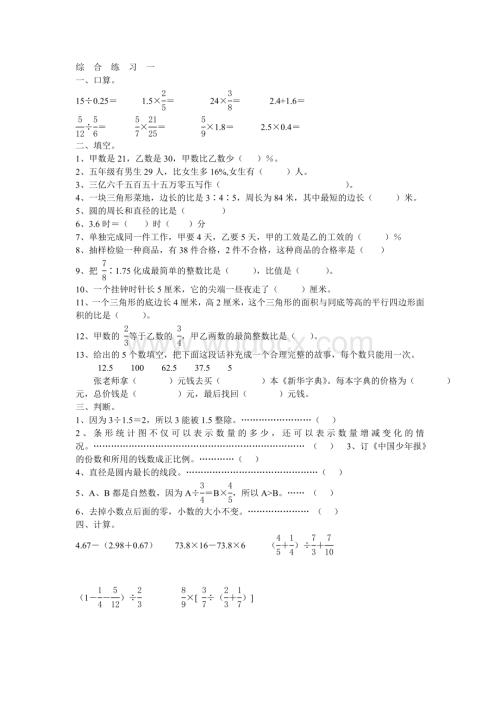 六年级数学复习练习 综合练习一 .doc