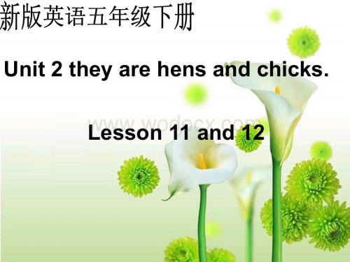 五年级英语They are hens and chicks课件2.ppt