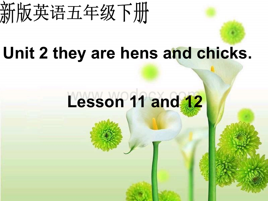 五年级英语They are hens and chicks课件2.ppt_第1页