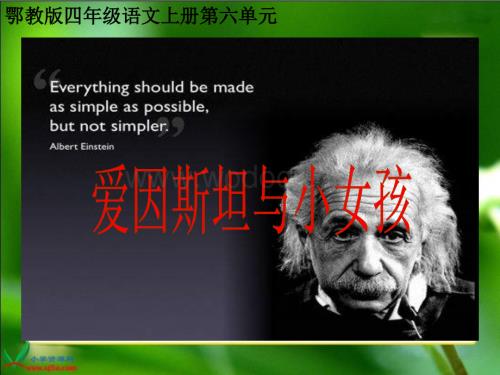 鄂教版四年级上册《爱因斯坦与小女孩》PPT课件2.ppt
