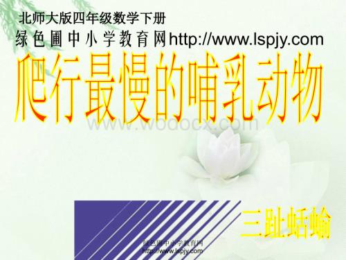 北师大版小学四年级下学期数学《爬行最慢的哺乳动物课件PPT》.ppt