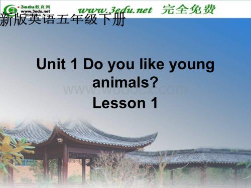 五年级英语Do you like young animals课件1.ppt