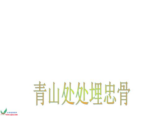 教科版四年级上册《青山处处埋忠骨》PPT课件2.ppt