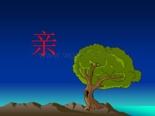 五年级下：14.再见了亲人 （人教新课标）教学课件.ppt