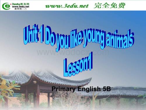 五年级英语Do you like young animals课件8.ppt