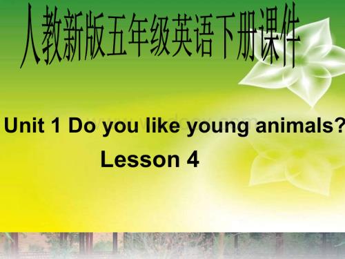 五年级英语Do you like young animals课件2.ppt