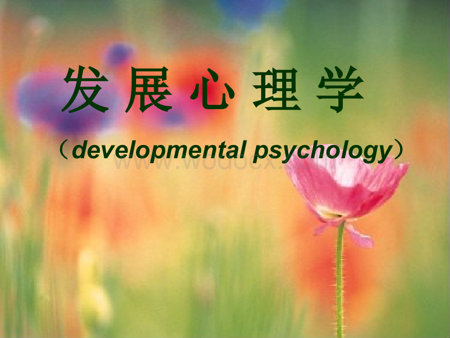 发展心理学-心理咨询师培训.ppt_第1页