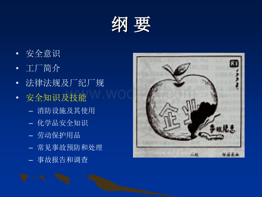 化工企业安全培训(入厂培训).ppt_第2页