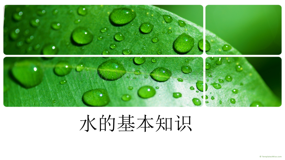 水基本知识培训.ppt_第1页