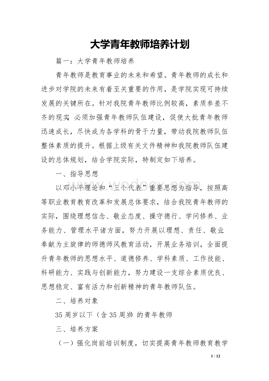 大学青年教师培养计划　.doc_第1页