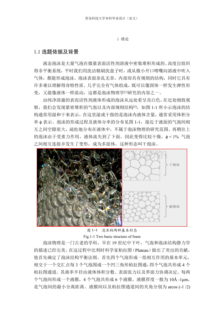 表面活性剂对溶液表面张力影响的实验研究.doc_第2页