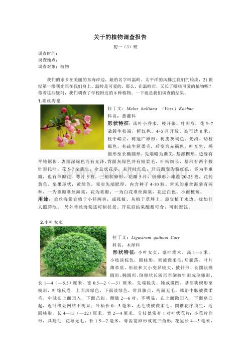 关于的植物调查报告.doc