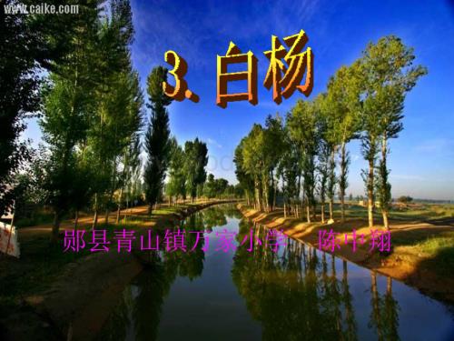人教版五年级下册语文3.白杨.ppt