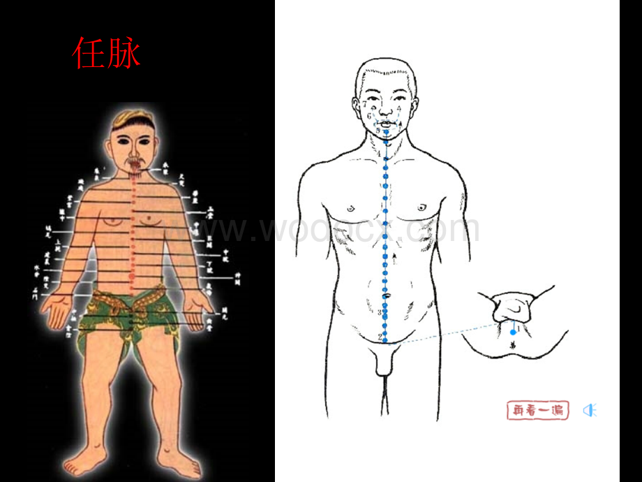 经络腧穴各论-(2).ppt_第2页