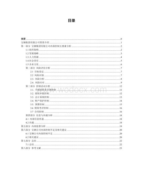 宝钢公司内部控制分析报告.doc