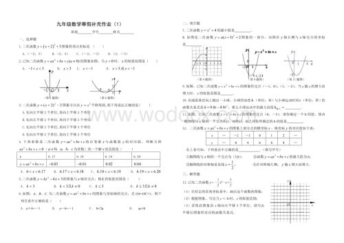 九年级寒假作业（1）.doc