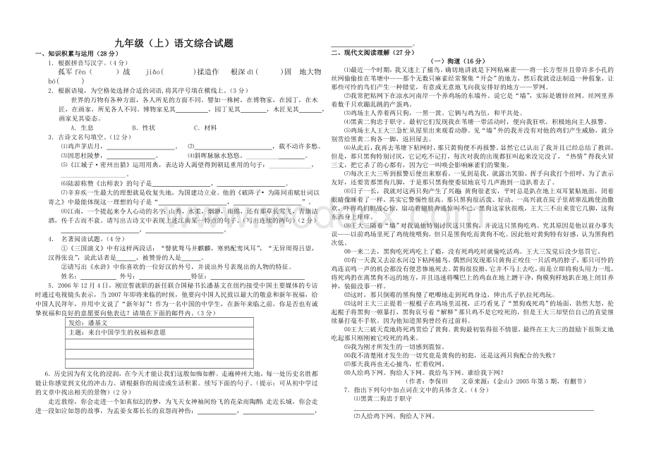 九年级语文试题.doc_第1页