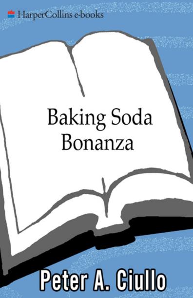 (Baking.Soda.Bonanza).Ciullo .Peter.A.英文文字版.pdf