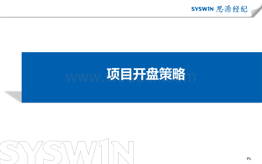 房地产公司项目开盘策略.pptx_第1页