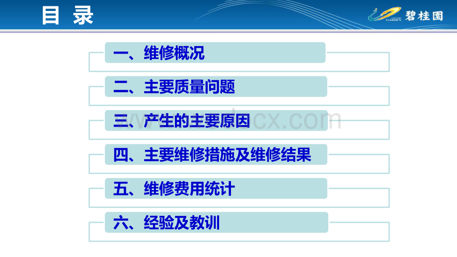 住宅项目质量问题维修案例.pdf_第2页