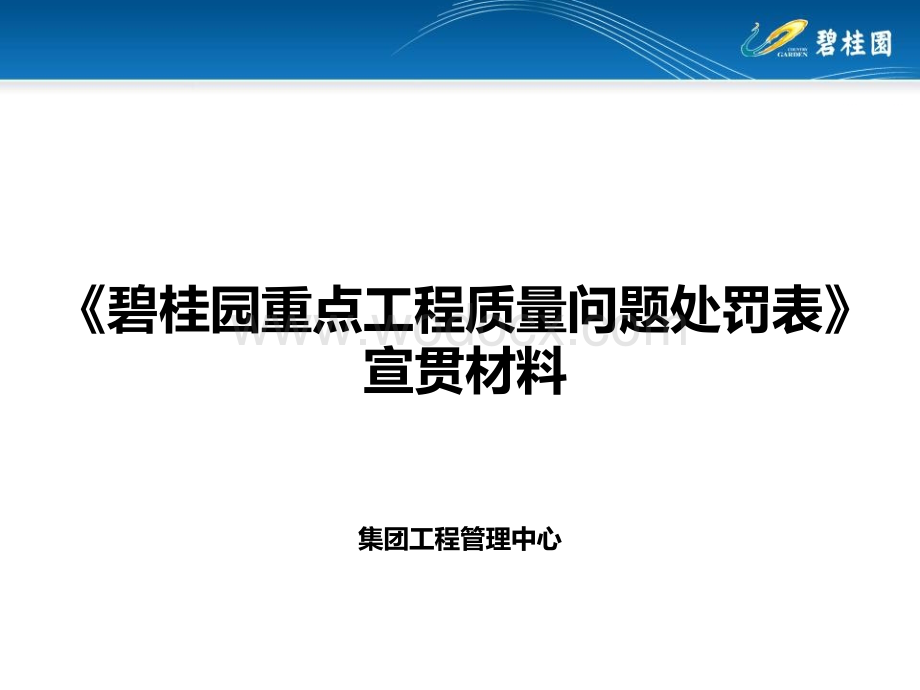 知名地产重点工程质量问题处罚表.pptx_第1页