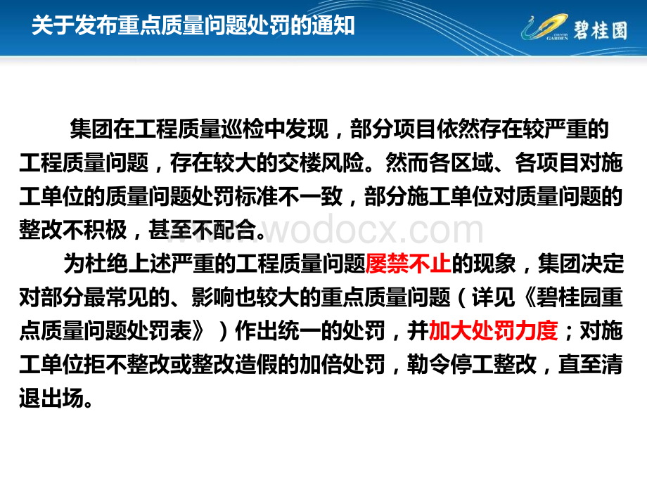 知名地产重点工程质量问题处罚表.pptx_第2页