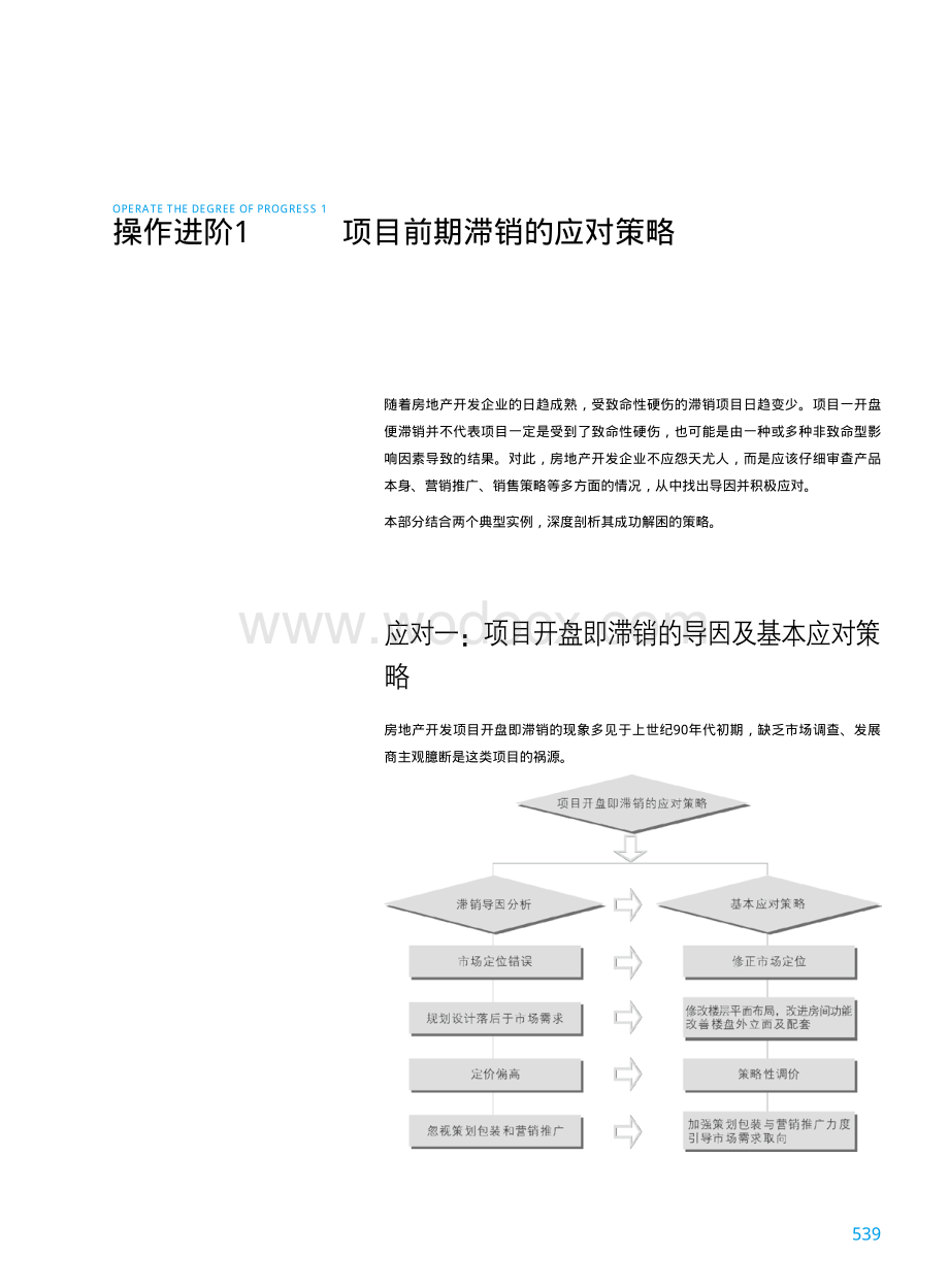 房地产滞销楼盘含尾盘操作手册.pdf_第1页