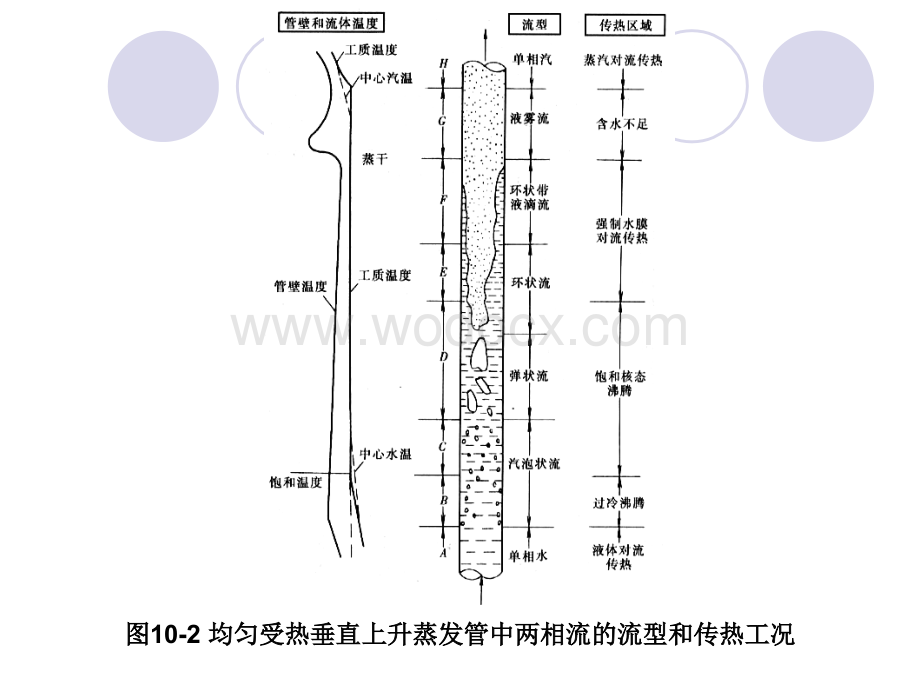 第二节汽水两相流的流型和传热.ppt_第3页