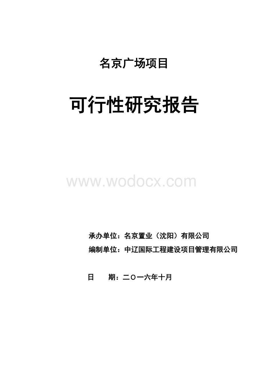 商业广场项目_名京广场项目可行性研究报告.doc_第1页