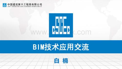 BIM技术应用交流.pdf