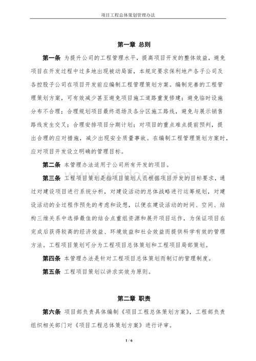 项目工程总体策划管理办法.docx