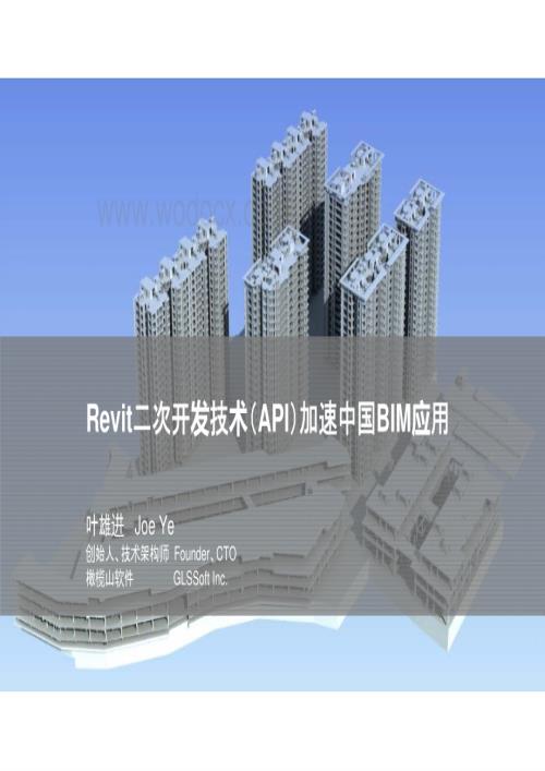 Revit二次开发技术加速中国BIM应用.pdf