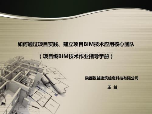 项目级BIM技术应用作业指导书.pdf